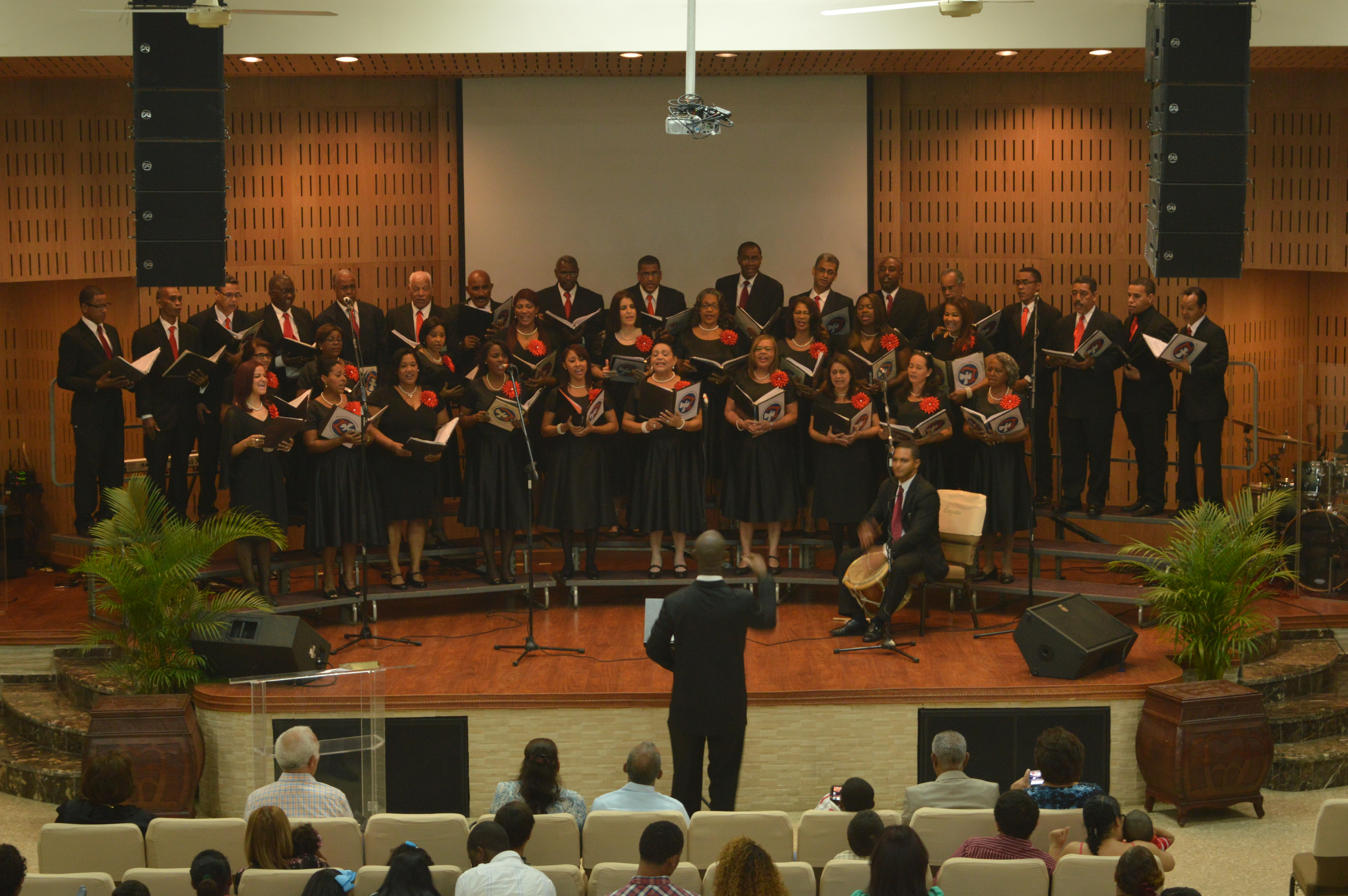 Original Size, Arpa Evangelica 6016-4000